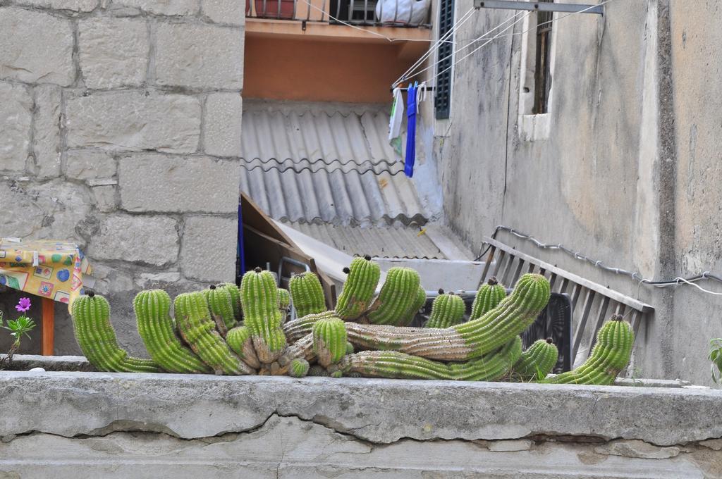 Villa Stagnja Split Pokoj fotografie