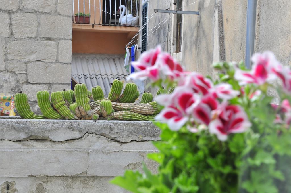 Villa Stagnja Split Pokoj fotografie